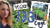 Ep133 Building A New Brassica Cage Sowing Sweet Peas And Planting Out Purple Sprouting Plot 37