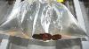 Get Rid Of Houseflies Pennies In Bag